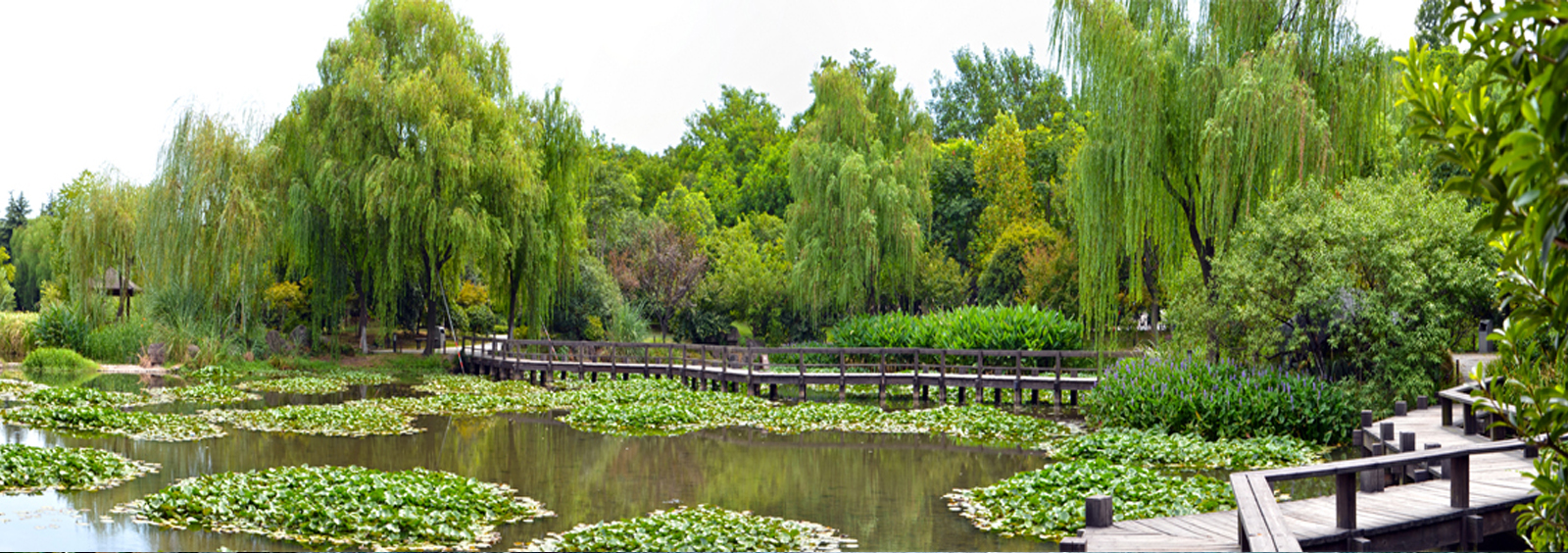 url(http://m.choufan.cn/theme/TP000163/pic/banner4.jpg)